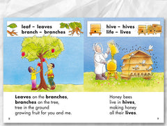 Sunshine Stories (Value Pack) Clearance Set, 14 titles